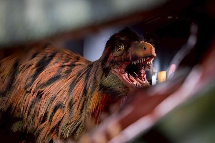 Thainosaur at Museum Pier: Thailand’s Prehistoric Beasts Revealed photo 4