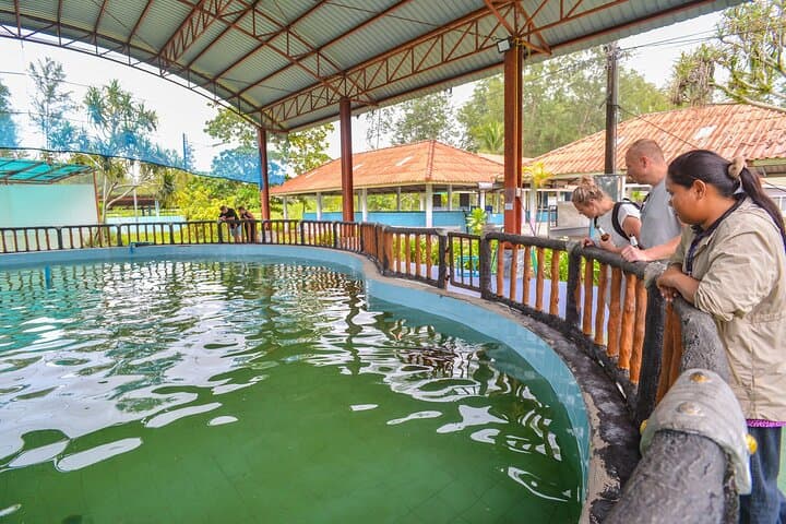 Phuket to Phang Nga: Bamboo Rafting, Monkey Cave & Jungle ATV Adventure photo 6