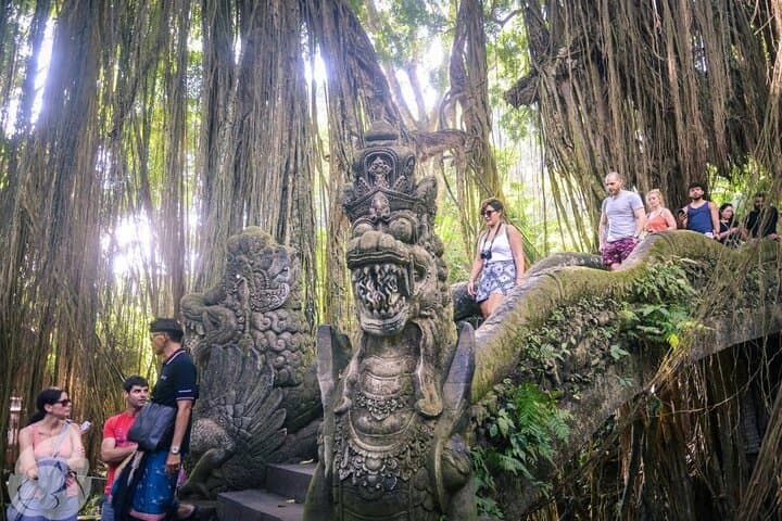 Ubud Day Tour: Monkey Forest, Tegallalang Rice Terraces & Tegenungan Waterfall photo 3