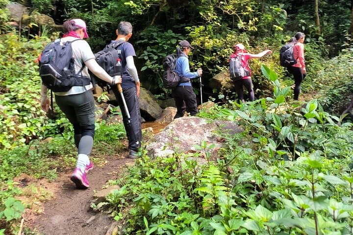 Ta Lien Son 2-Day Forest Trek: Summit Vietnam's 6th Highest Peak