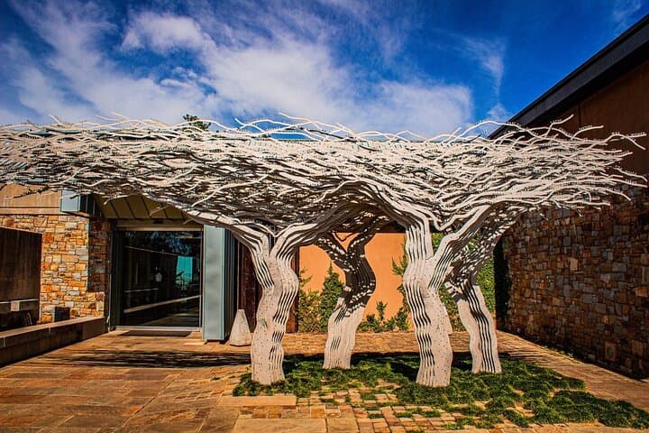 Private Stellenbosch Wine Tour: Full-Day Winelands Tasting & Estate Visits photo 4