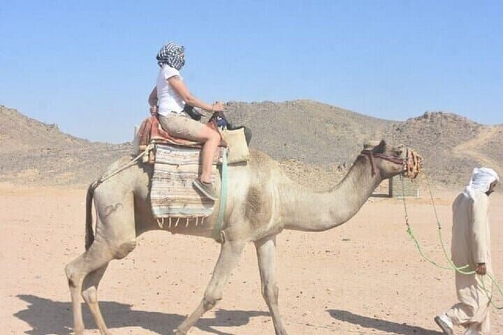 Marsa Alam Golden Safari: ATV, Buggy & Stargazing Desert Adventure photo 4