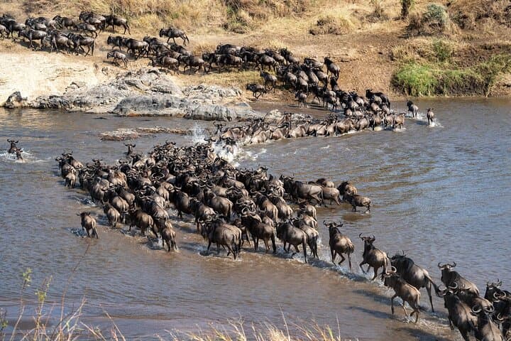5-Day Migration Safari: From Tarangire Baobabs to the Mara River Crossings