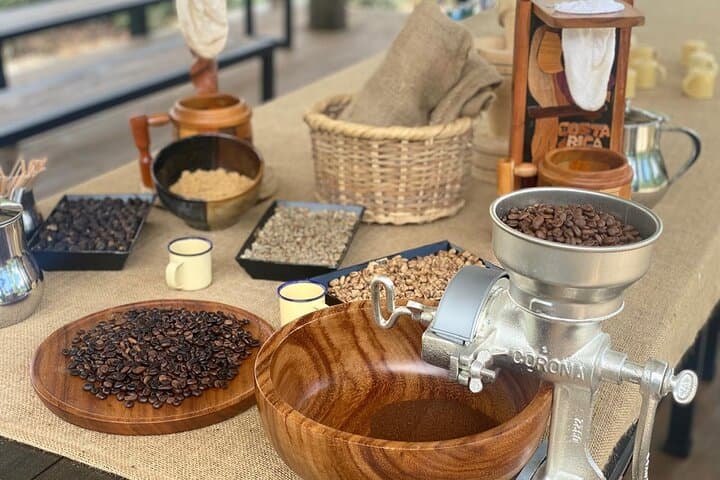 Bijagua Coffee, Cacao & Pineapple Farm Tour — Taste Río Celeste’s Coffee, Cacao & Pineapple photo 2