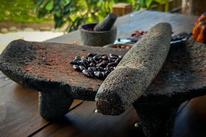Bijagua Coffee, Cacao & Pineapple Farm Tour — Taste Río Celeste’s Coffee, Cacao & Pineapple photo 4
