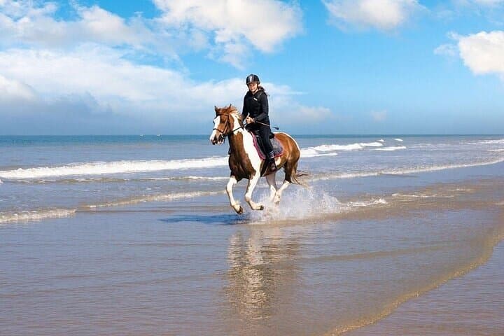 Horseback Ride Along Nabq Bay Beach — Sharm El Sheikh Coastal Riding photo 6
