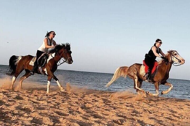 Horseback Ride Along Nabq Bay Beach — Sharm El Sheikh Coastal Riding photo 5