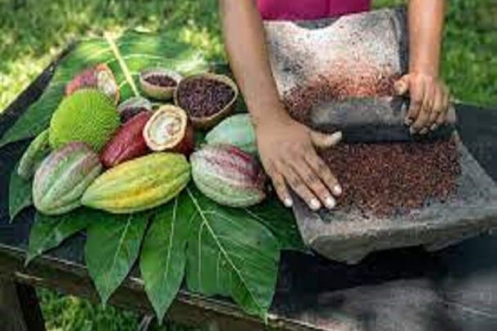 Bijagua Coffee, Cacao & Pineapple Farm Tour — Taste Río Celeste’s Coffee, Cacao & Pineapple photo 1