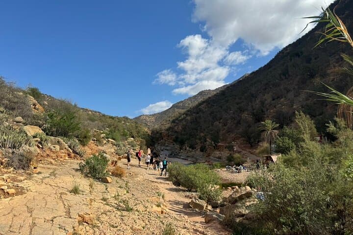 Paradise Valley Day Hike from Taghazout — Natural Pools & Local Lunch photo 6