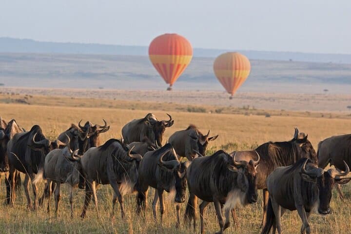 5-Day Midrange Safari: Tarangire, Serengeti & Ngorongoro Highlights photo 3