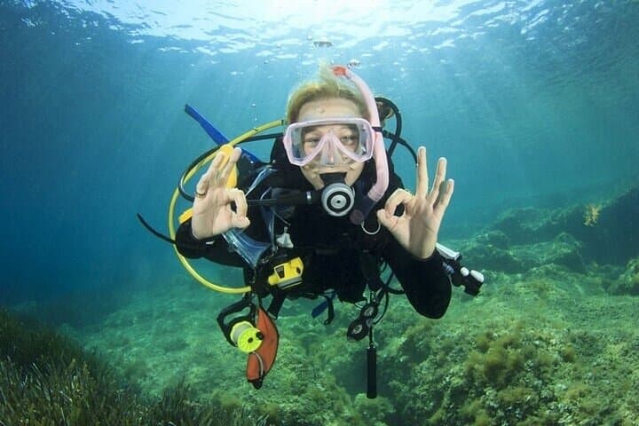 Marsa Alam PADI Advanced Open Water Course: 2-Day Boat Dives & Certification photo 5
