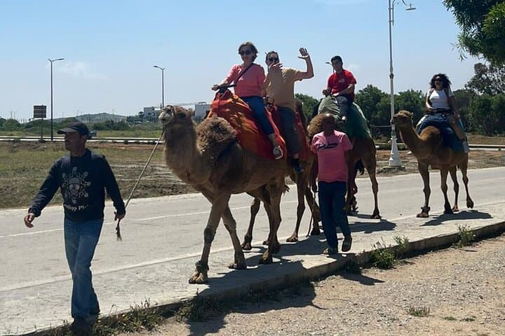 Tangier Full-Day Guided Tour from Cruise Ship — Cap Spartel, Hercules Caves & Medina photo 6