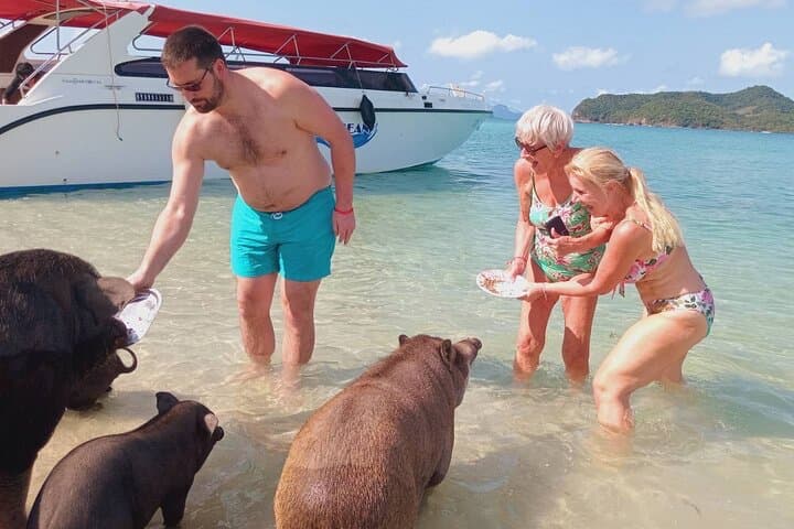 Koh Samui Pink Dolphins, Koh Tan Snorkel & Pig Island Day Trip photo 4