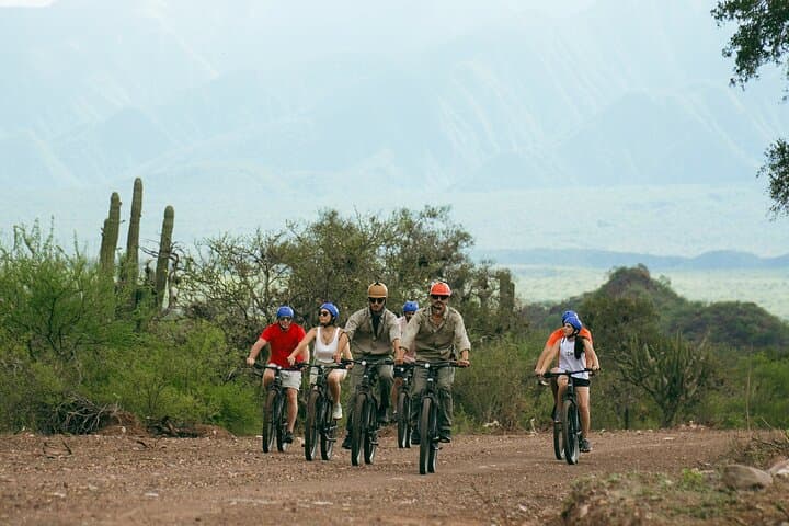 E-Bike Through Cafayate’s Pasacana: Vineyards, Birding & Ancient Royal Roads photo 2