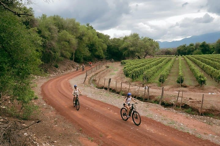 E-Bike Through Cafayate’s Pasacana: Vineyards, Birding & Ancient Royal Roads photo 3