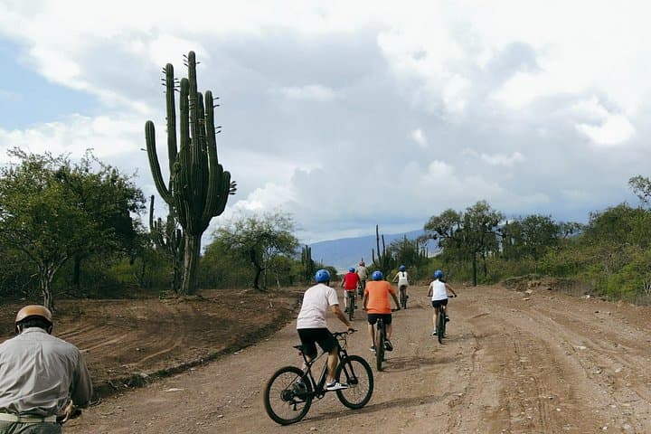 E-Bike Through Cafayate’s Pasacana: Vineyards, Birding & Ancient Royal Roads photo 4
