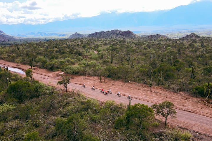 E-Bike Through Cafayate’s Pasacana: Vineyards, Birding & Ancient Royal Roads photo 5