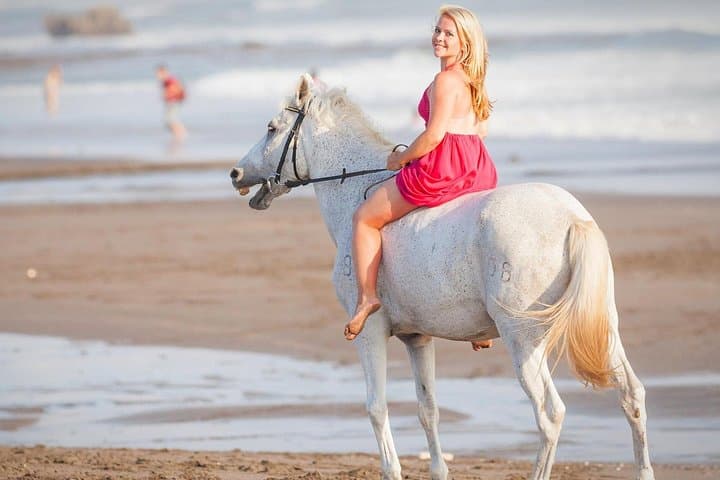 Horseback Riding Along Sharm El Sheikh Beach and Desert — 2-Hour Coastal Ride photo 3