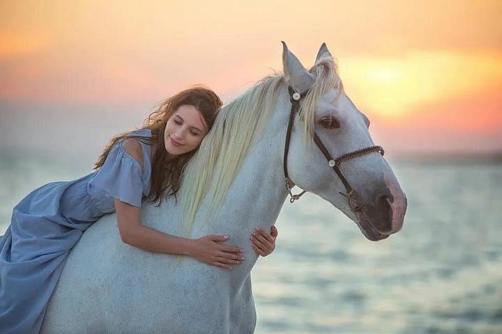 Horseback Riding Along Sharm El Sheikh Beach and Desert — 2-Hour Coastal Ride photo 2
