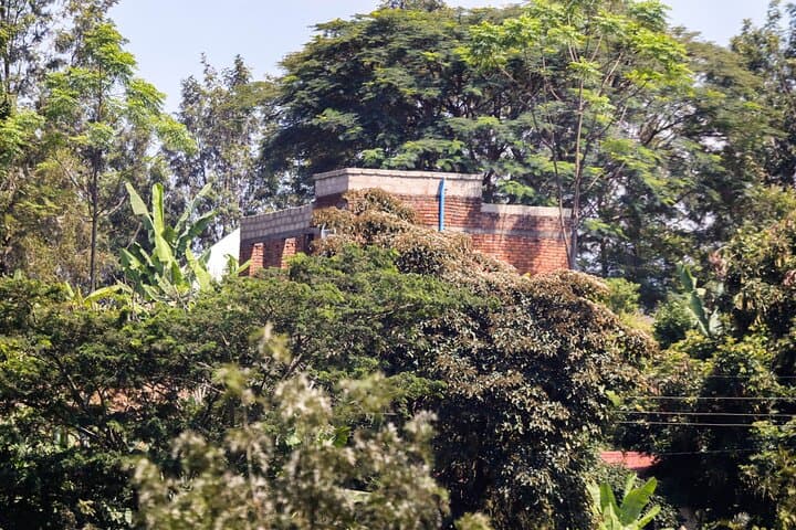 Rural Arusha Day Hike: Coffee Fields, Meru Villages & Kilimanjaro Views photo 2