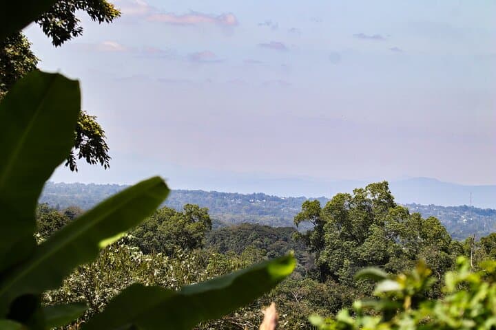 Rural Arusha Day Hike: Coffee Fields, Meru Villages & Kilimanjaro Views photo 4