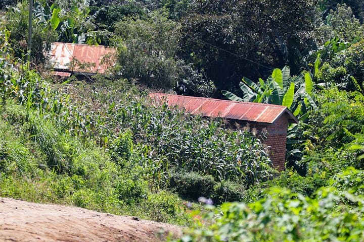 Rural Arusha Day Hike: Coffee Fields, Meru Villages & Kilimanjaro Views photo 5