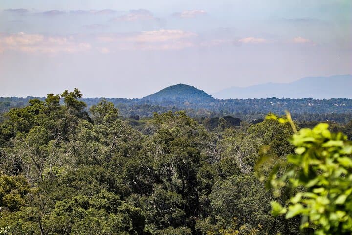 Rural Arusha Day Hike: Coffee Fields, Meru Villages & Kilimanjaro Views photo 6
