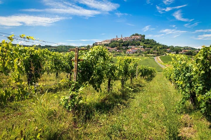 Pisa Siena San Gimignano and Chianti Flavors Day Trip from Florence photo 3