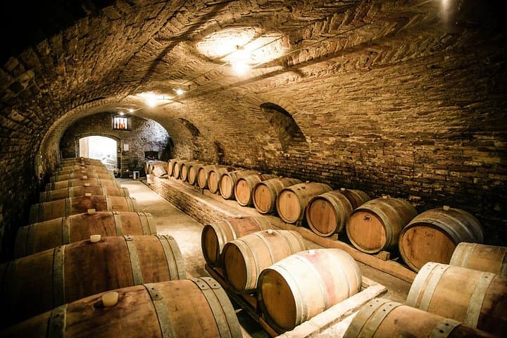 Pisa Siena San Gimignano and Chianti Flavors Day Trip from Florence photo 4