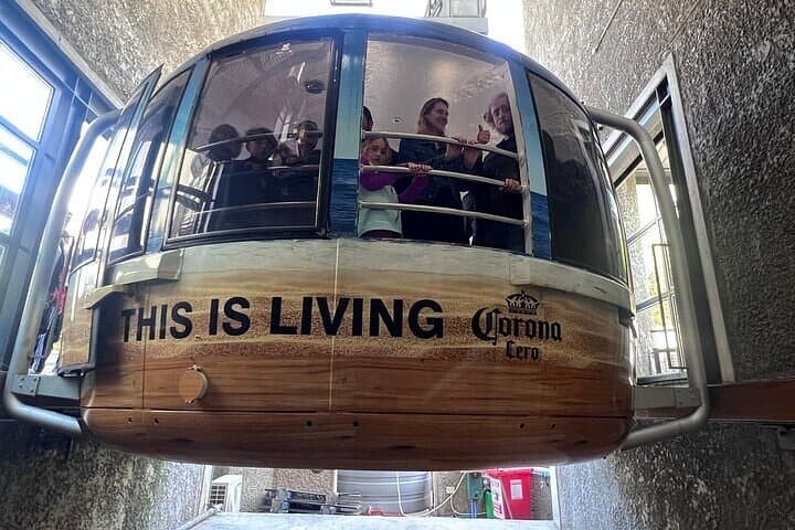 Half-Day Table Mountain Cable Car Tour — Cape Town Summit Views & Easy Summit Walks photo 2