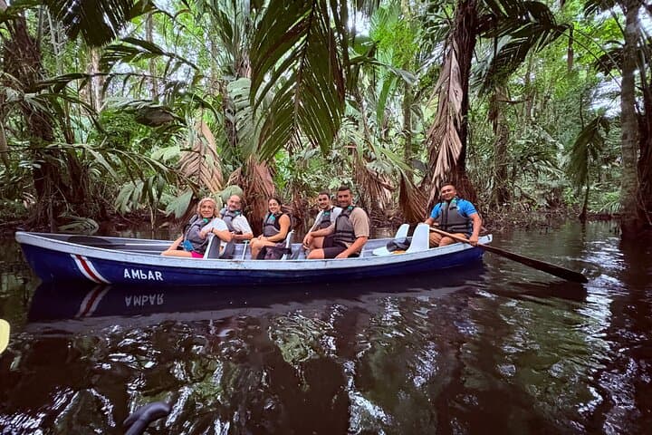 Adventure Canoe Tour in Tortuguero: Silent Canals & Wildlife Encounters photo 1
