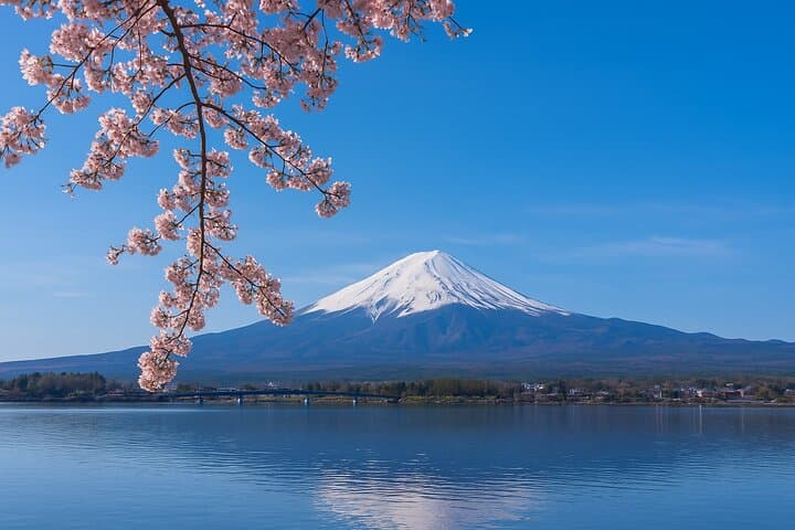 Private Mount Fuji Day Tour from Tokyo: 5th Station, Hakone & Lake Kawaguchi in One Day photo 5