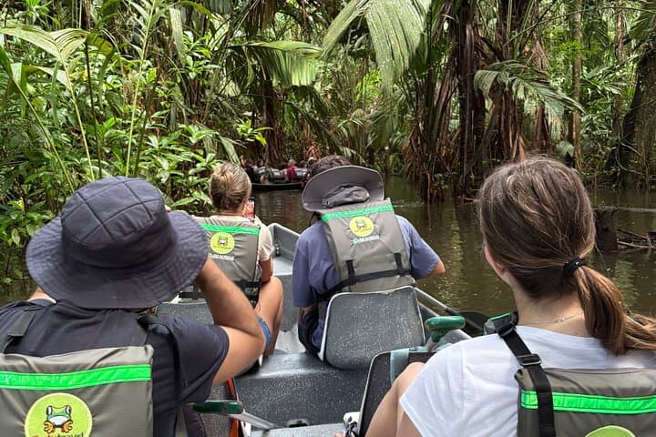 Adventure Canoe Tour in Tortuguero: Silent Canals & Wildlife Encounters photo 3