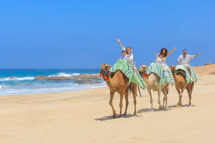 ATV and Camel Ride on Migriño Beach: Baja Dune Rush and Pacific Shore Camel Experience photo 3