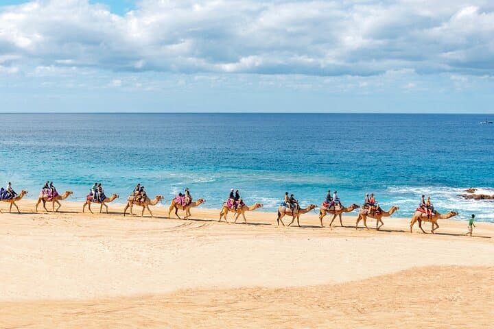 Cabo Combo Adventure: UTV, Camel Beach Ride & Sky Bike Experience photo 4