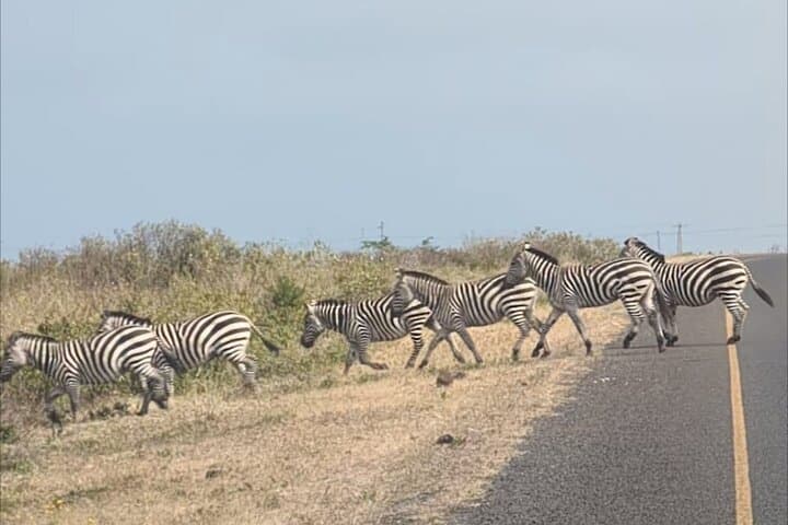 Ride Between Kilimanjaro and Meru: 2-Day Cycling Adventure from Moshi photo 4