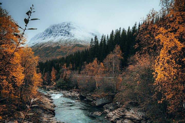 13-Day Norway Nature, Art & Fjord Immersion: Guided Multi-Day Tour photo 2