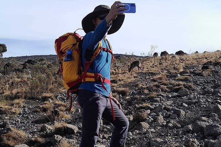 Kilimanjaro Lemosho Route 8-Day Group Trek — Summit Uhuru Peak photo 2