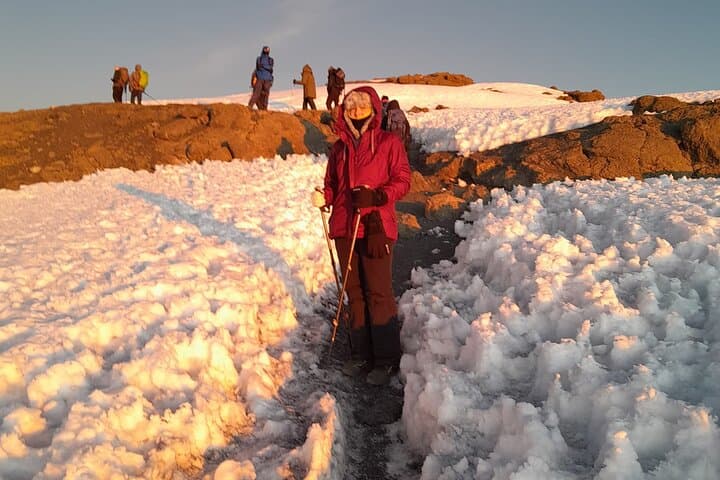 Kilimanjaro Lemosho Route 8-Day Group Trek — Summit Uhuru Peak photo 4