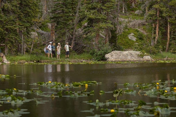 Hike to Emerald Lake: Bear, Nymph & Dream Lakes in Rocky Mountain National Park photo 2