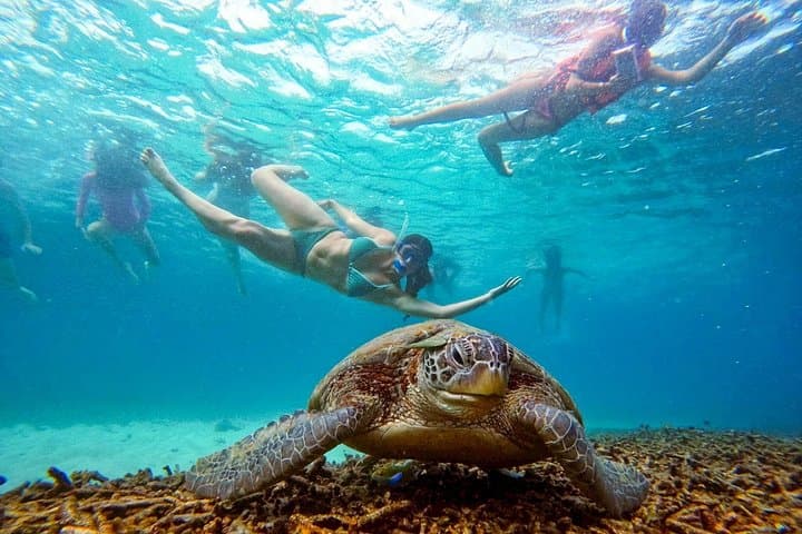 Koh Tao & Koh Nang Yuan 5-Point Snorkeling Day Trip photo 1