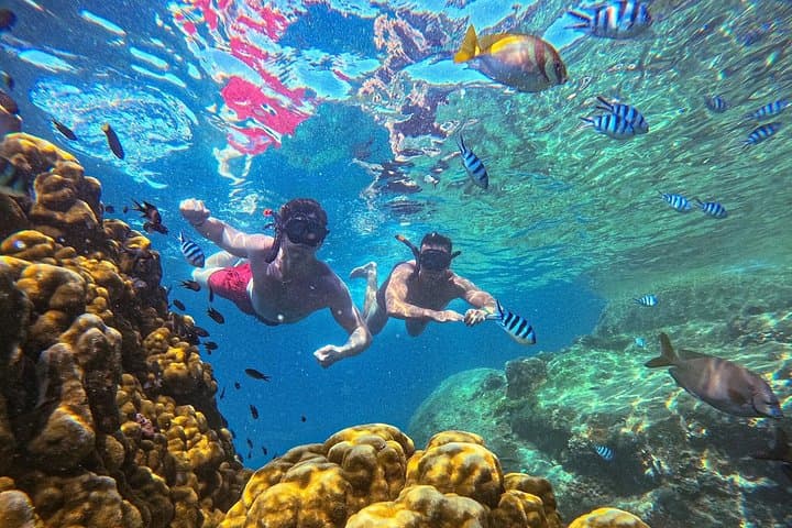 Koh Tao & Koh Nang Yuan 5-Point Snorkeling Day Trip photo 2