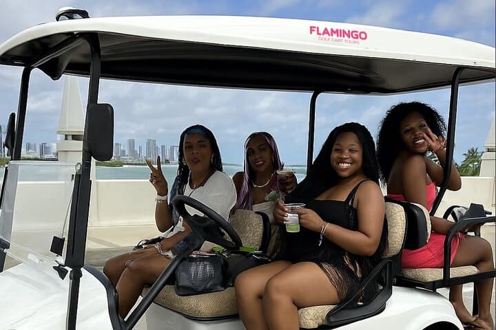 South Beach Private Golf Cart Tour — Art Deco, Ocean Drive & South Pointe Park
