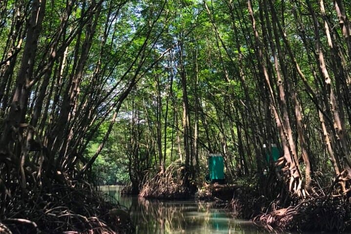 Explore Can Gio Mangrove Biosphere: Private Day Tour from Ho Chi Minh City photo 2