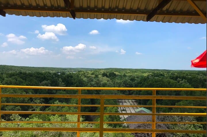 Explore Can Gio Mangrove Biosphere: Private Day Tour from Ho Chi Minh City photo 3