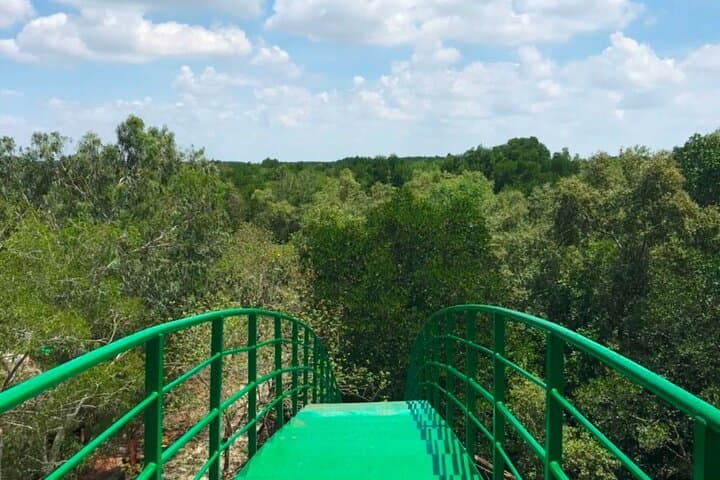 Explore Can Gio Mangrove Biosphere: Private Day Tour from Ho Chi Minh City photo 4