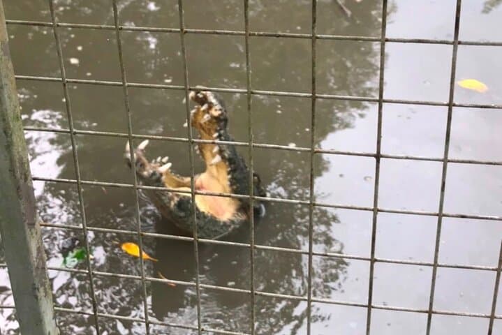 Explore Can Gio Mangrove Biosphere: Private Day Tour from Ho Chi Minh City photo 6