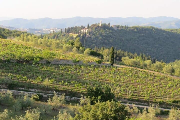 One-Day Tuscany: Siena, San Gimignano, Chianti & Pisa Highlights photo 6