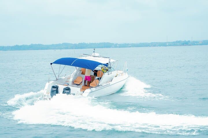 Mirissa Sunset Speedboat Cruise — Luxury Evening Tour & Whale-Watching Excursion photo 5