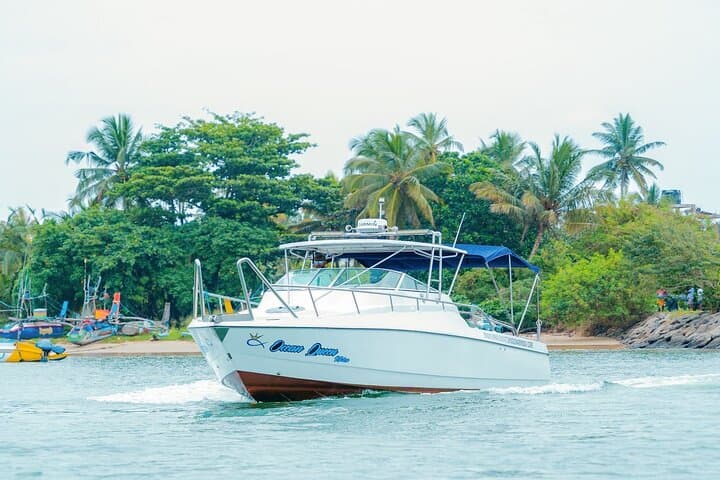 Mirissa Sunset Speedboat Cruise — Luxury Evening Tour & Whale-Watching Excursion photo 3